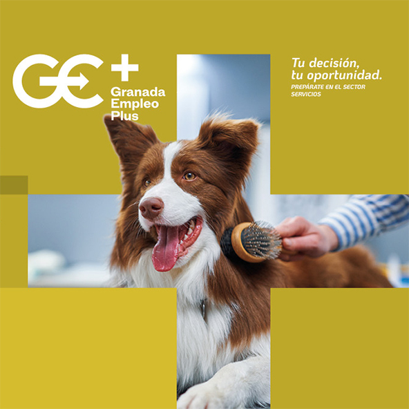 AUXILIAR DE CLÍNICA VETERINARIA Y ESTÉTICA ANIMAL