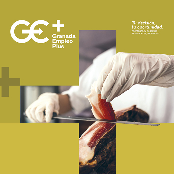 ITINERARIO DE PRUEBAS