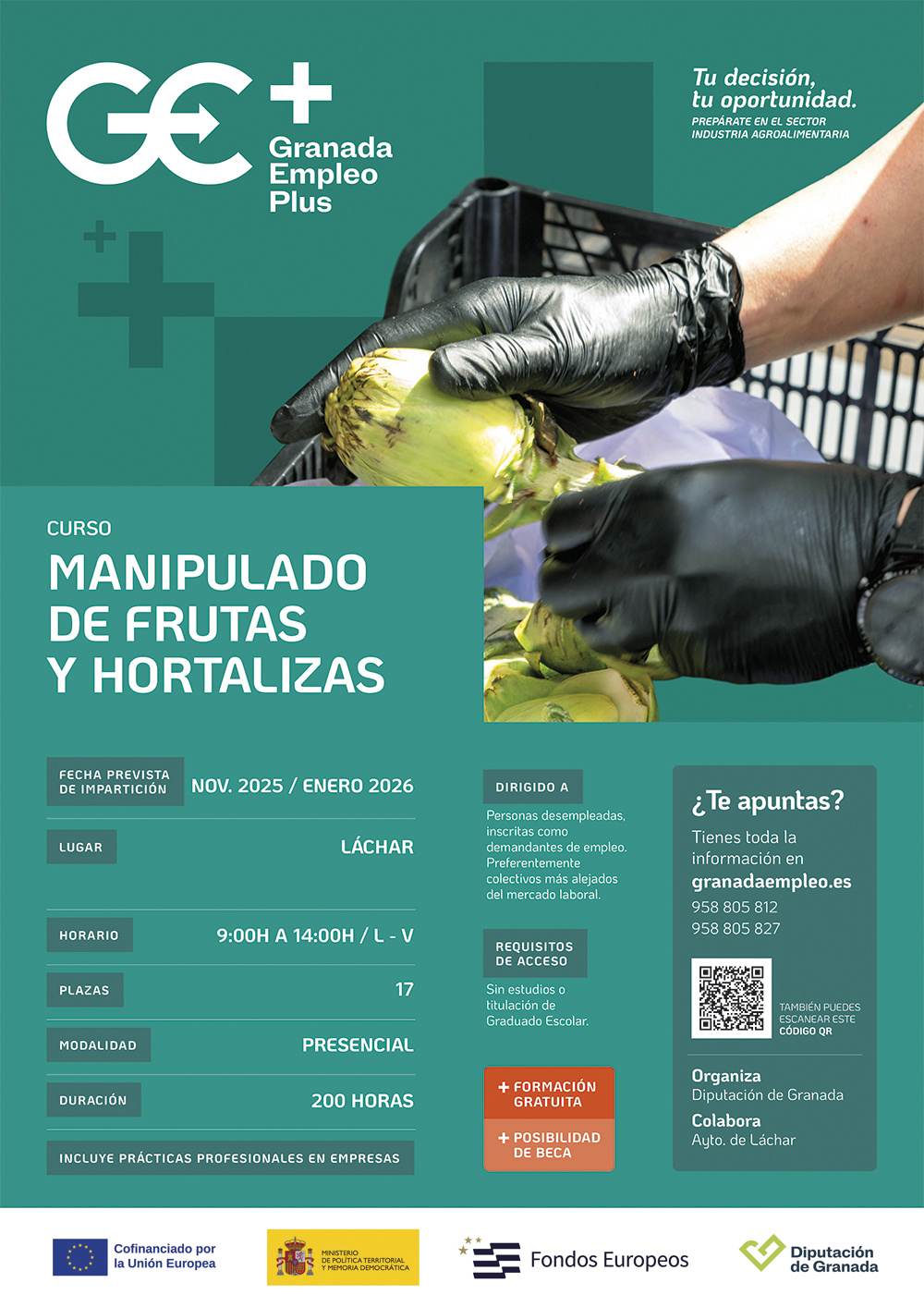 MANIPULADOR/A DE FRUTAS Y HORTALIZAS